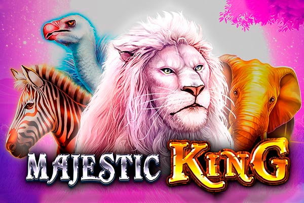 Jogo do tigre aposta